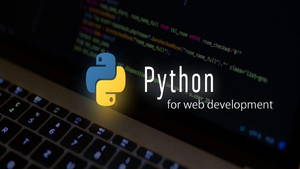 Institutions for Python Programming and Web Development Education